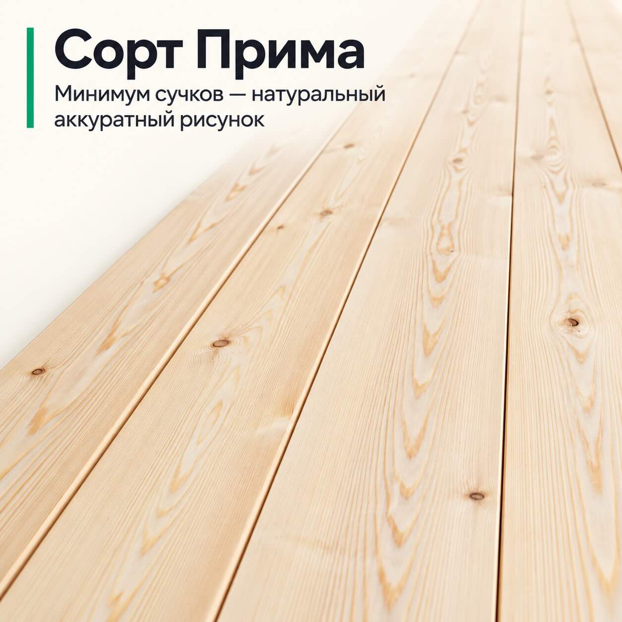 Сорт Прима